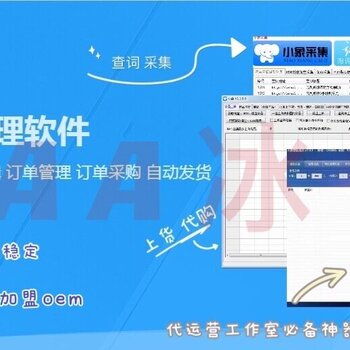 拼多多無貨源店群軟件開發與生態賦能 技術、招商與運營一體化解決方案