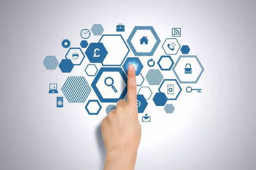 健康管理與咨詢 掌握科學(xué)方法，擁抱優(yōu)質(zhì)生活